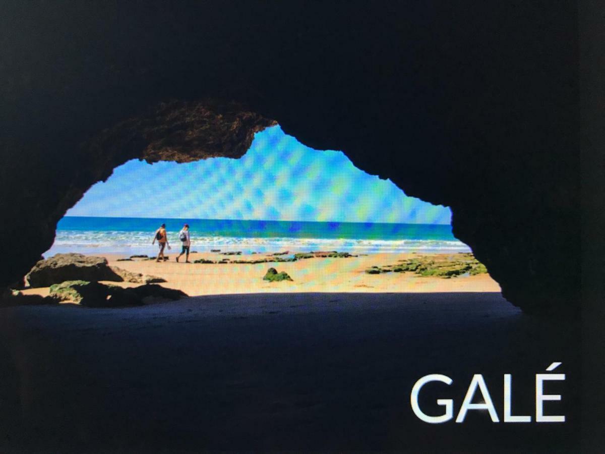 Palmeira Gale Albufeira Ngoại thất bức ảnh